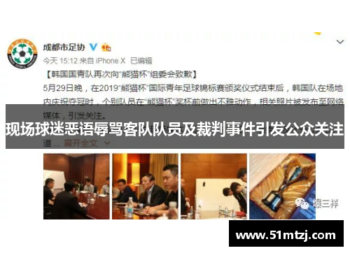 现场球迷恶语辱骂客队队员及裁判事件引发公众关注